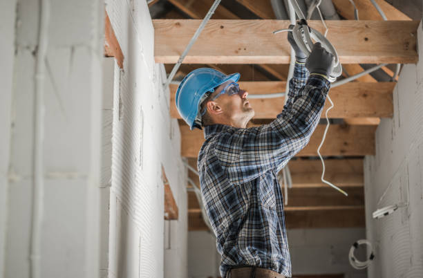 Best Electric Panel Repair  in Sorgho, KY